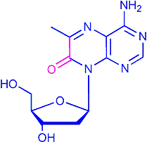 6MAP
