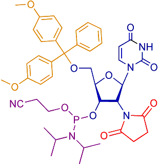 SU